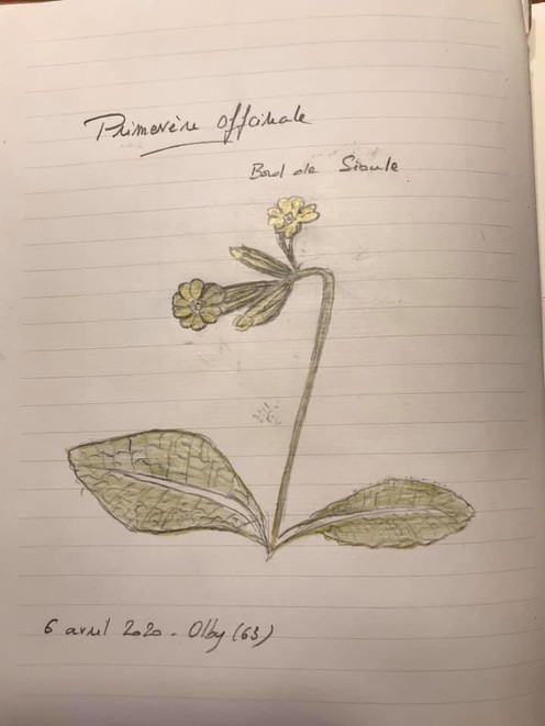 101063686 2072557416222122 1884083345369858048 n