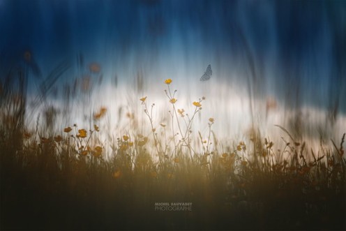 101154113 2072557492888781 1790997084644573184 n