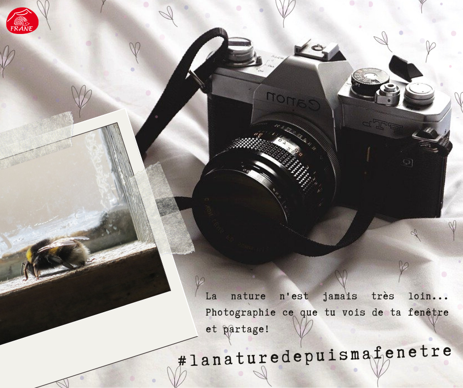 Canon Facebook Post Set 1